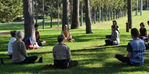 Meditation session taking place outdoors on campus.