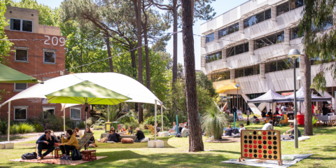 students sitting in a grassed area at the Creative Quarter.