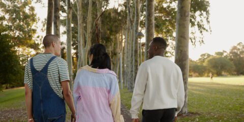 Three students with their back to the camera, walking along a path.