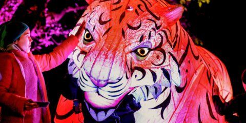 Tiger art installation