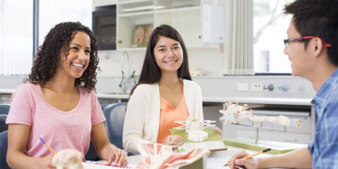 Group of students discussing