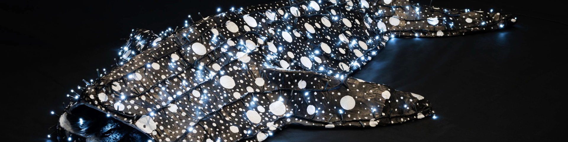 Image of a whale shark sculpture at an art gallery